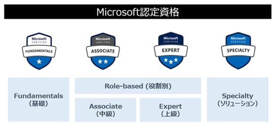 MS_shikakutaikei